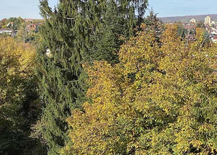 Mirage Zentrum ホテル 3*